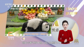 啊啊高潮了